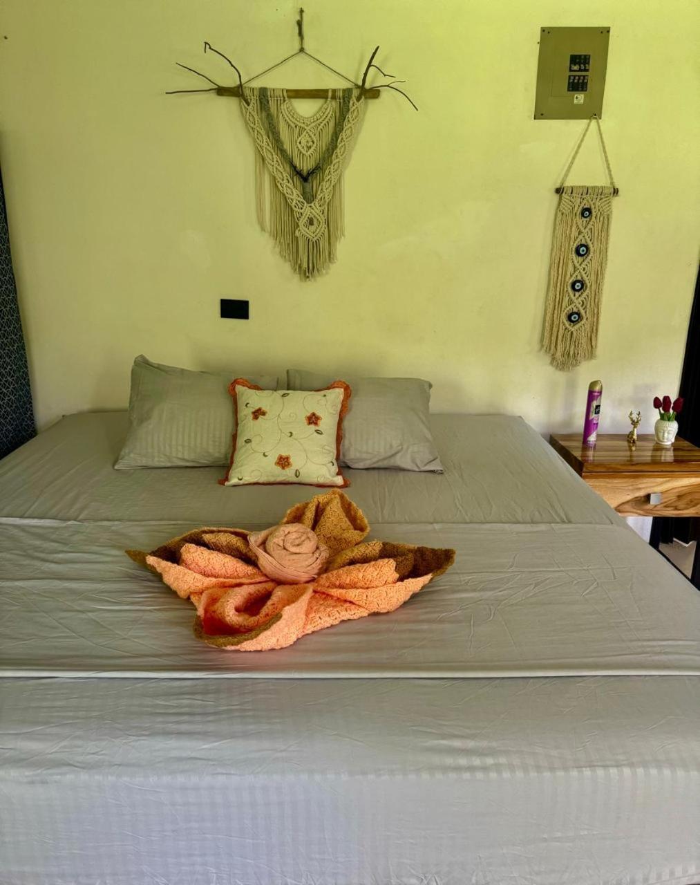 Deer House Cabuya Apartamento Cabuya  Exterior foto